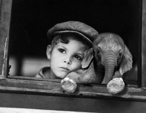 Photo:  little and little elephant.